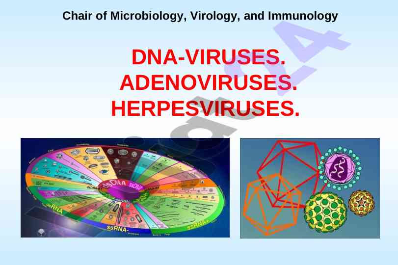Dna viruses properties and characteristics overview