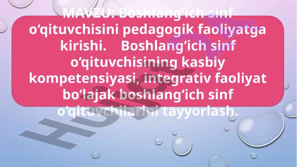 Boshlang'ich sinf o'qituvchisining pedagogik faoliyati