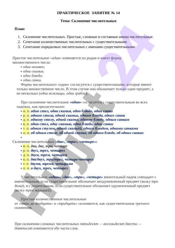 Schnoleniya chislitelnykh v teme prakticheskoe zanyatie
