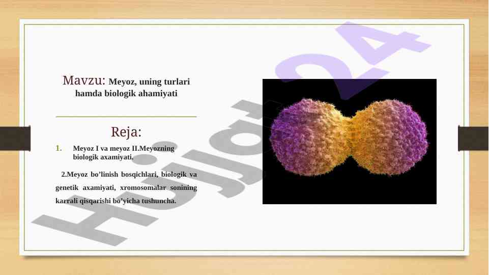 Meyoz turlari va biologik ahamiyati