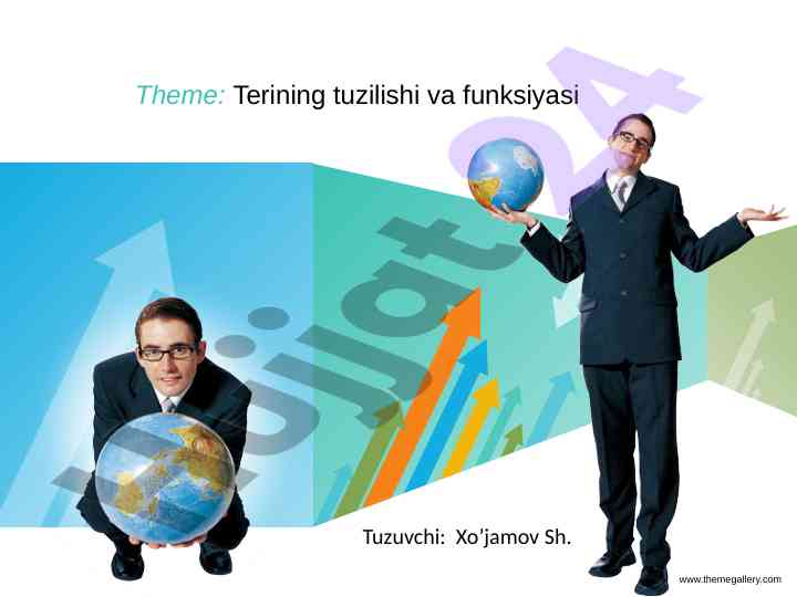 Terining tuzilishi va funksiyasi tahlili