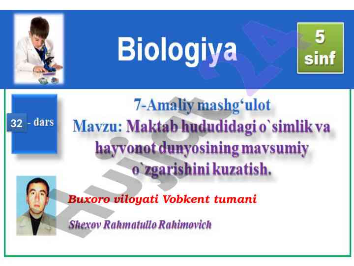 Maktab hududida oʻsimliklar kuzatish amaliyoti