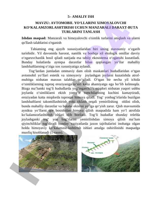 Avtomobil yo‘llarini himoyalovchi o‘simliklar tanlash