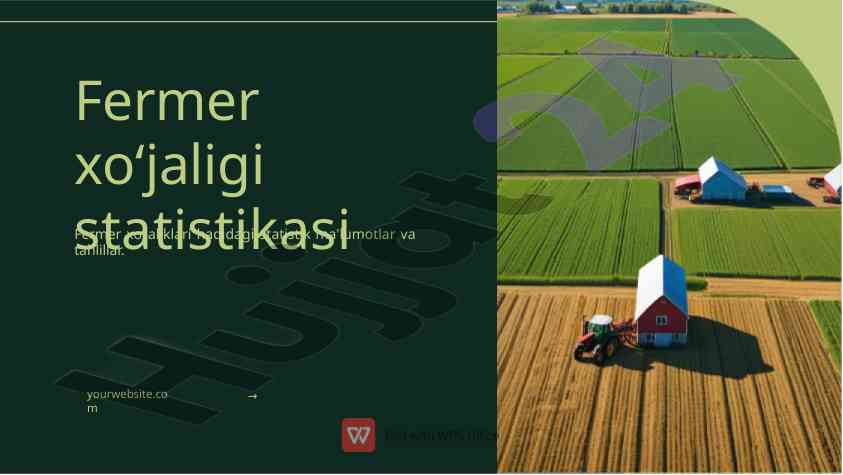 Fermer xoʻjaligi statistikasi va muhim tahlillar