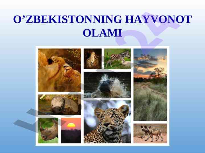 O’zbekistonda hayvonot olami turlari va tabiati
