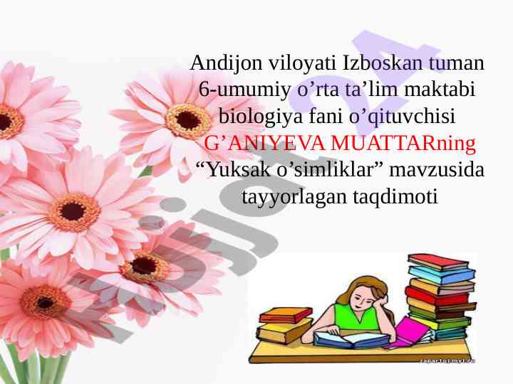 Yuksak o’simliklar mavzusida taqdimot