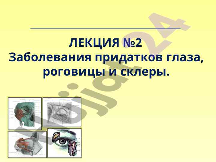 Заболевания придатков глаза и роговицы