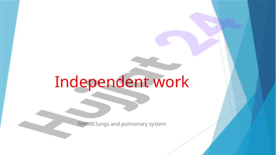 Lungs and pulmonary system exploration