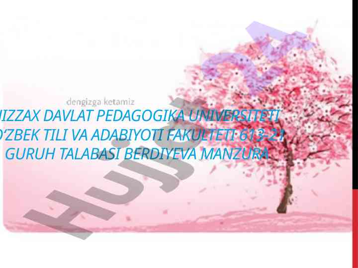 Zavqiy kabi shoirning ijodiy faoliyati