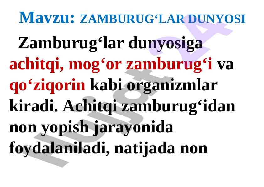 Zamburug‘lar dunyosi va ularning ahamiyati