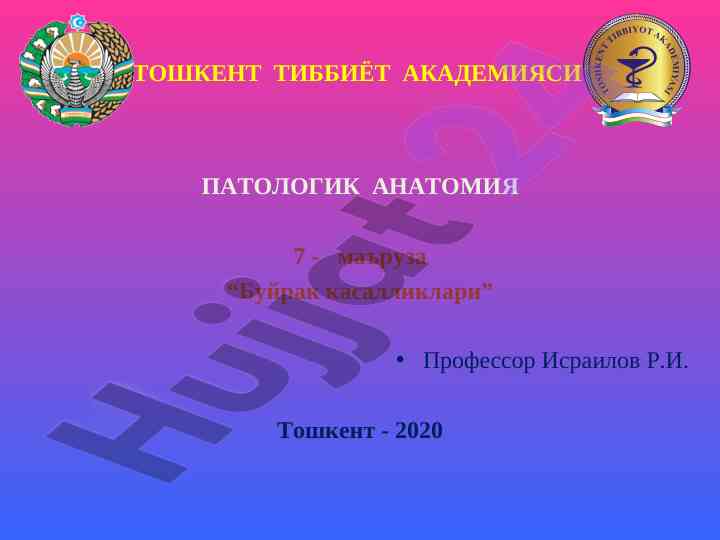 Буйрак касалликлари мавзусида маъруза