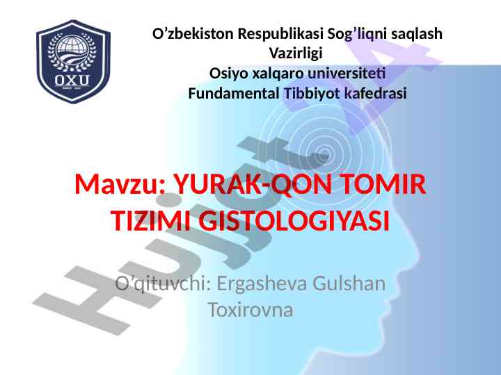 Yurak-qon tomir tizimi gistologiyasi