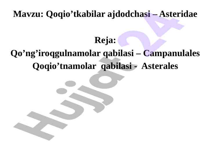 Qoqio’tkabilar ajdodchasi – asteridae