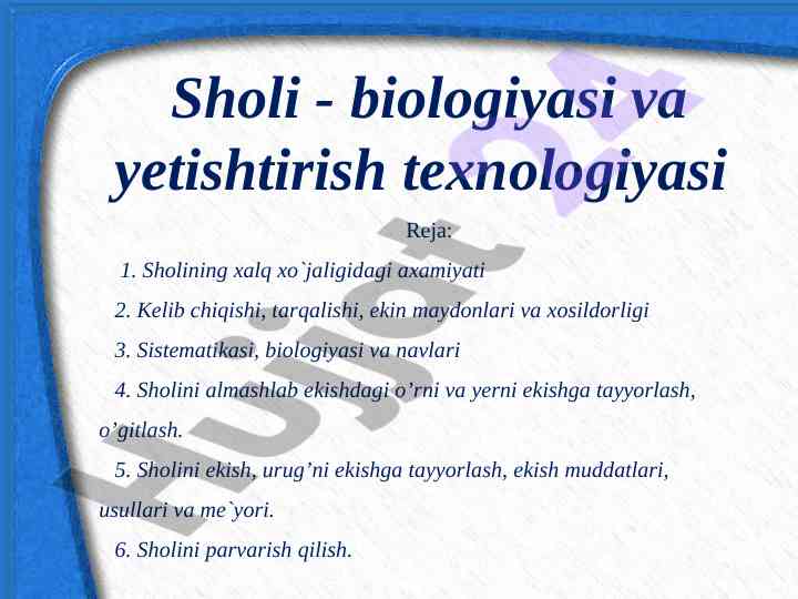Sholi biologiyasi va yetishtirish texnologiyasi