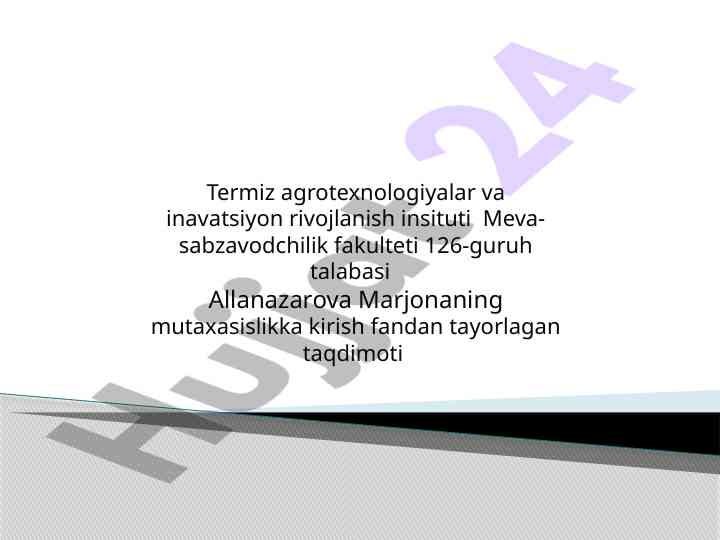 Saqlash omborlarini tashkil etish usullari