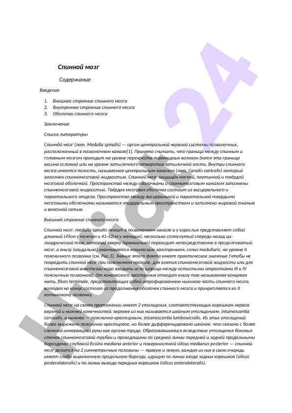 Строение и функции спинного мозга