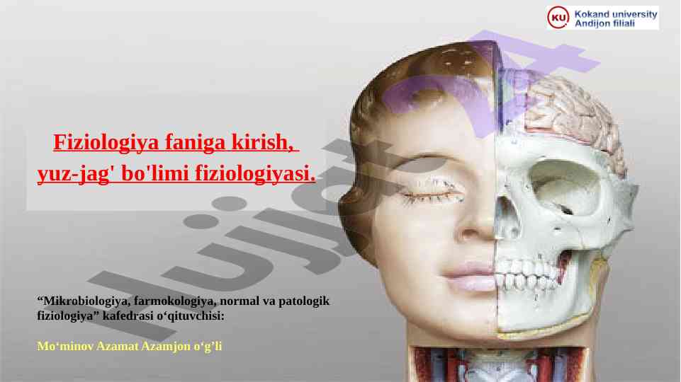Fiziologiya faniga kirish yuz-jag' fiziologiyasi