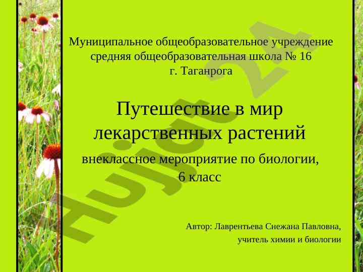 Путешествие в мир лекарственных растений