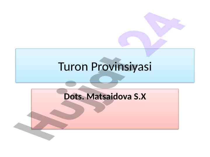 Turon provinsiyasi umumiy tavsifi va o’zboyorti