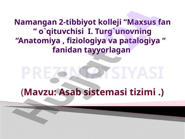 Asab sistemasi tizimining tuzilishi va vazifalari
