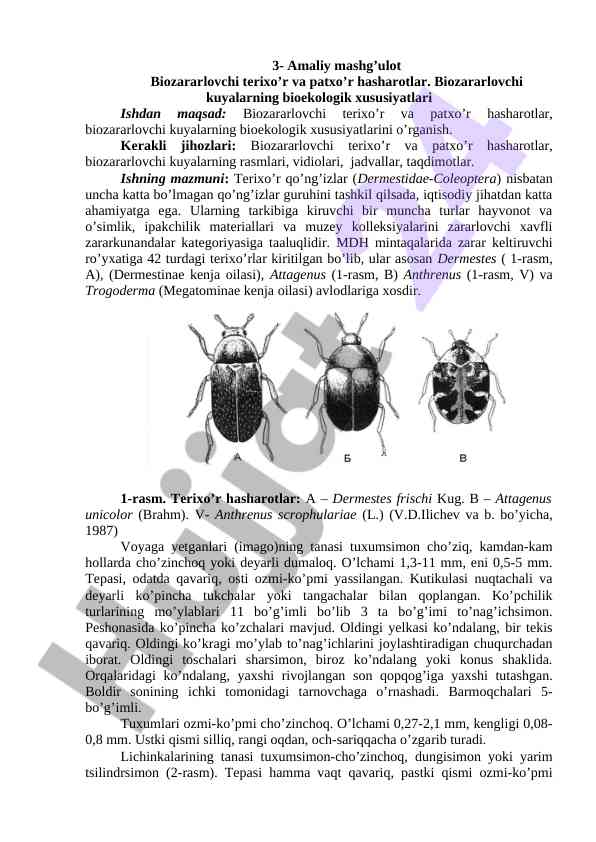 Biozararlovchi terixo’r va patxo’r hasharotlar