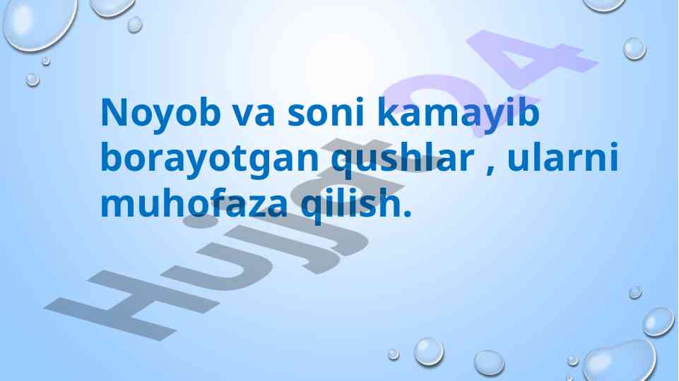 Noyob Qushlarni Muhofaza Qilish Masalalari
