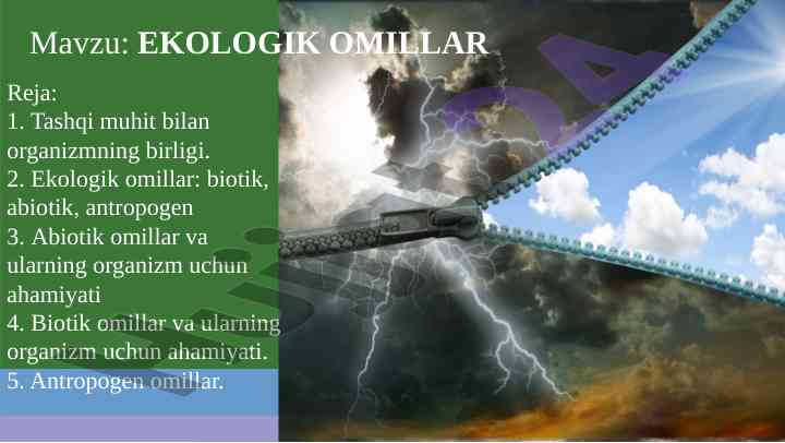 Ekologik omillar va ularning organizmlar uchun ahmiyati