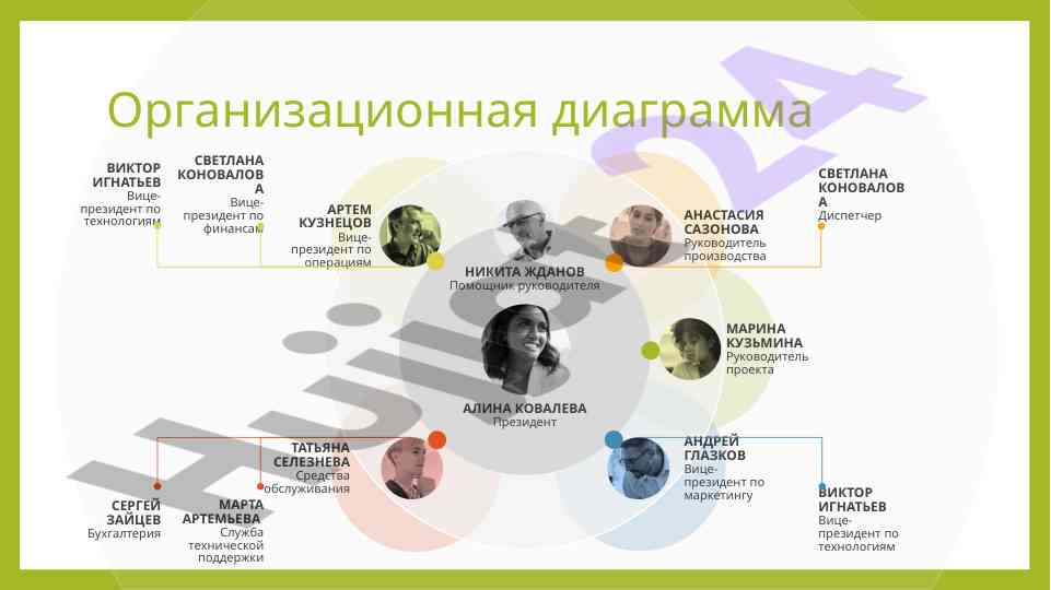 Organizatsion diagrama upravleniya kompaniey