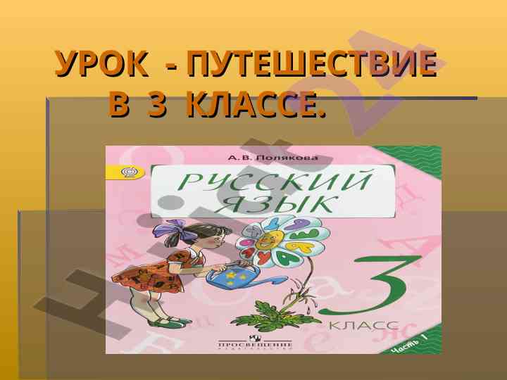 Приключения в библиотеке и уличная библиотека