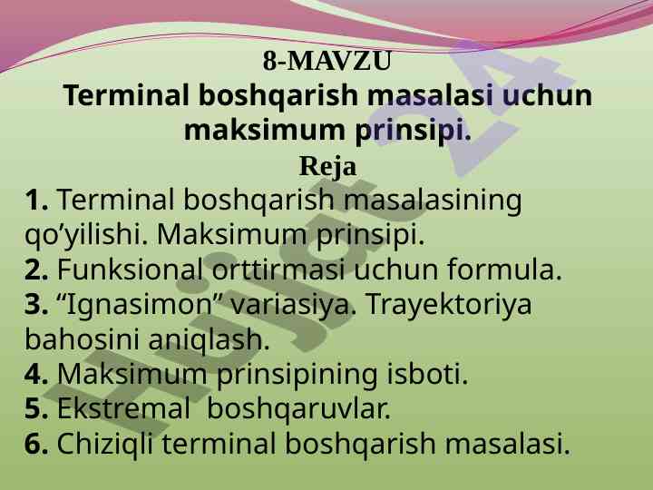 Terminal boshqarish masalasi uchun maksimum prinsipi