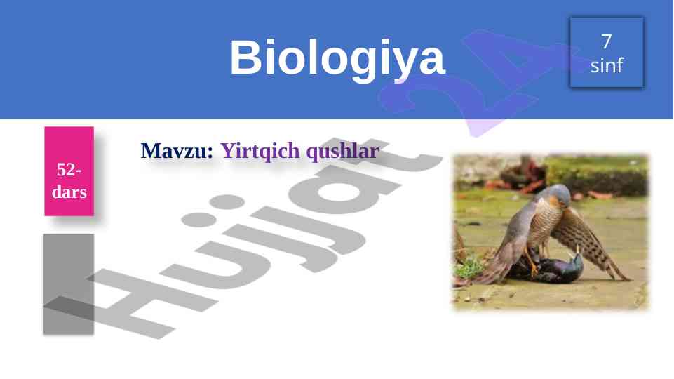 Yirtqich qushlar va uzun qamraning turlari