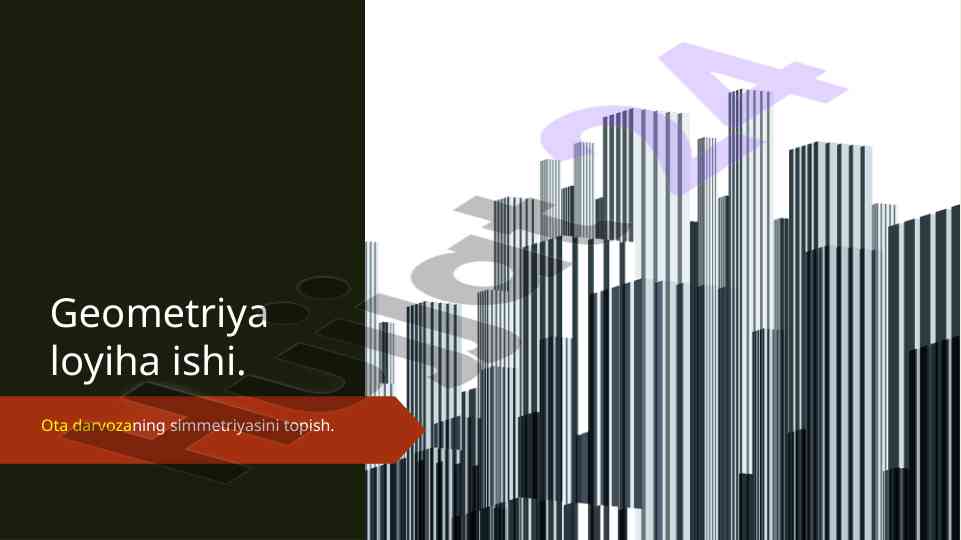 Ota darvozaning simmetriyasini topish loyihasi