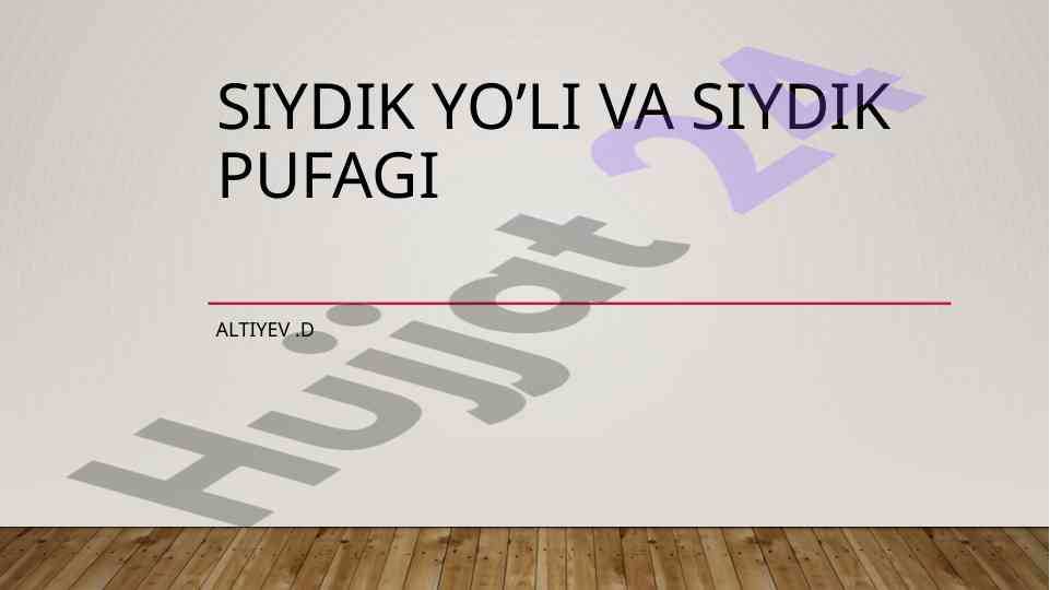 Siydik yo'li va siydik pufagi anatomiyasi