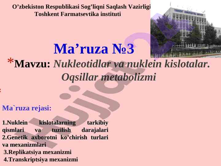 Nukleotidlar va nuklein kislotalar oqsillar metabolizmi