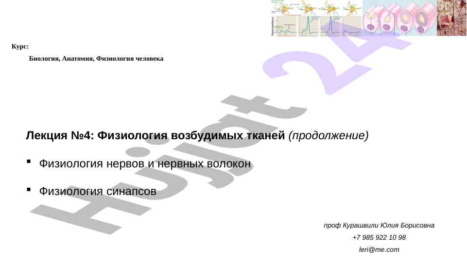 Fiziologiya nervov va nervnyh volokonk