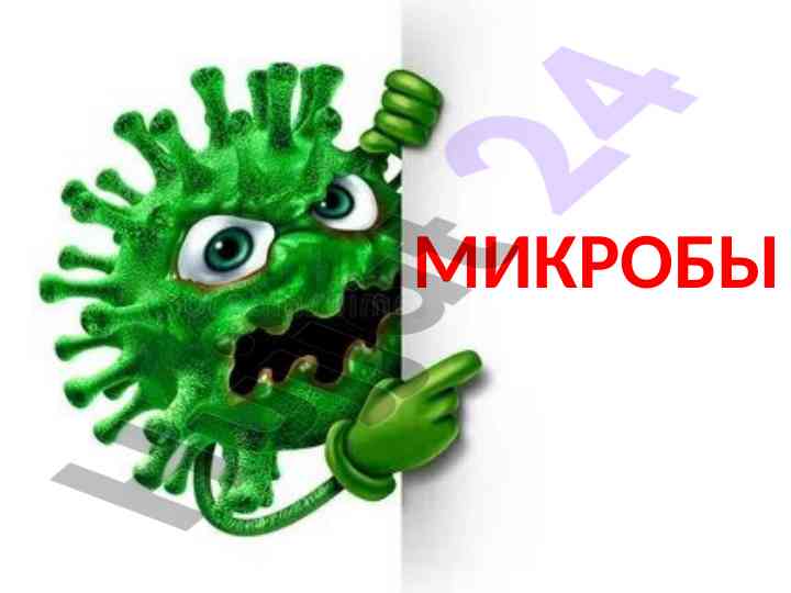 Микроблар таснифи ва тадқиқоти