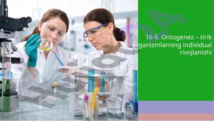 Ontogenez: tirik organizmlarning rivojlanishi