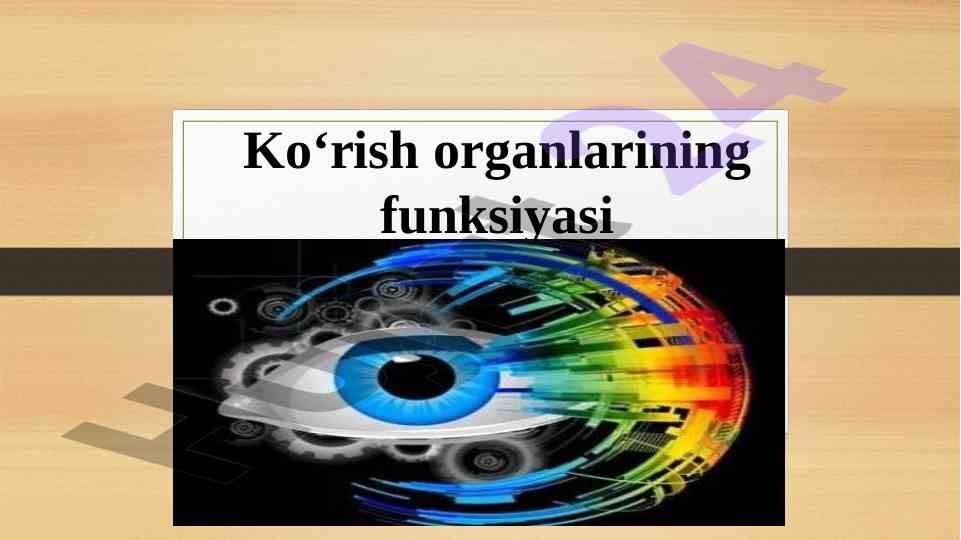 Ko‘rish organlarining funksiyasi va yordam