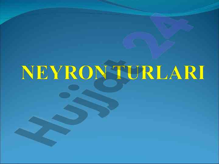 Neyron turlari va signal uzatilishi prinsipi