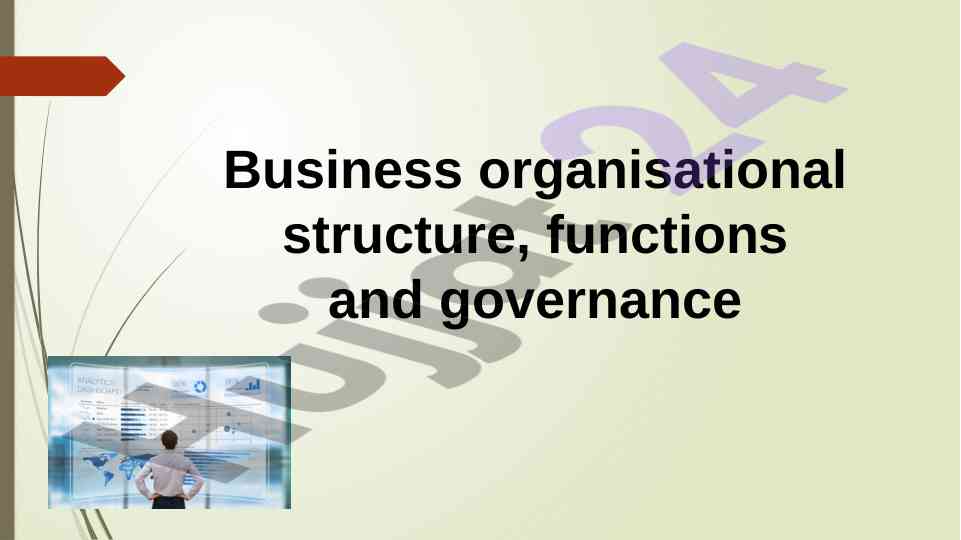Business organisational structure and governance analysis