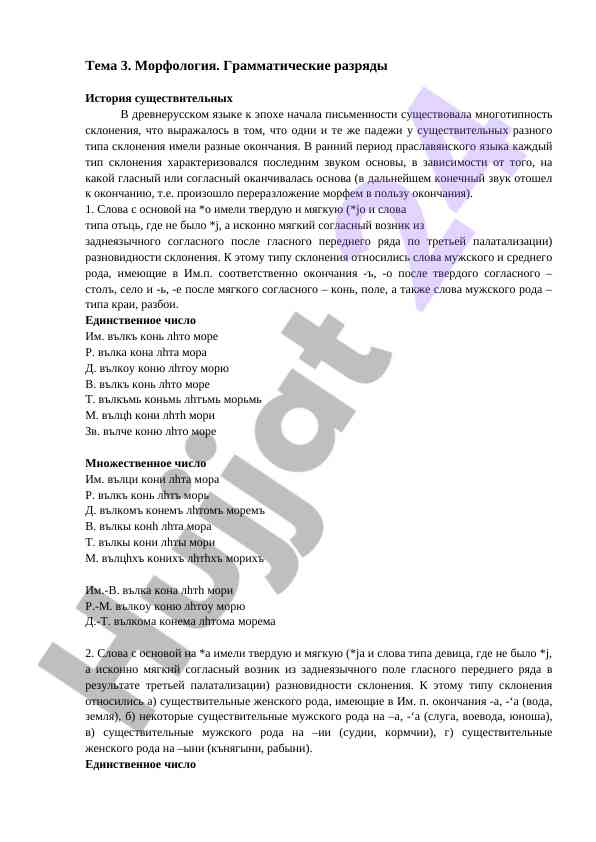 Морфология и грамматические разряды существительных