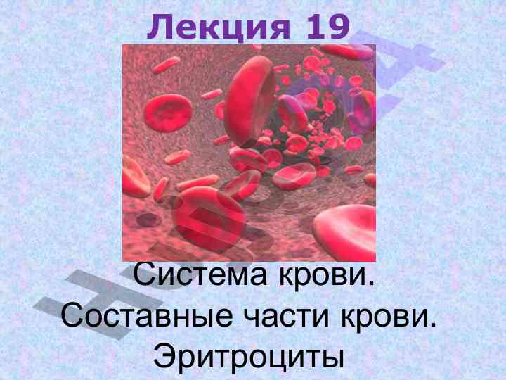 Sistema krovі. sostavnye chasti krovі