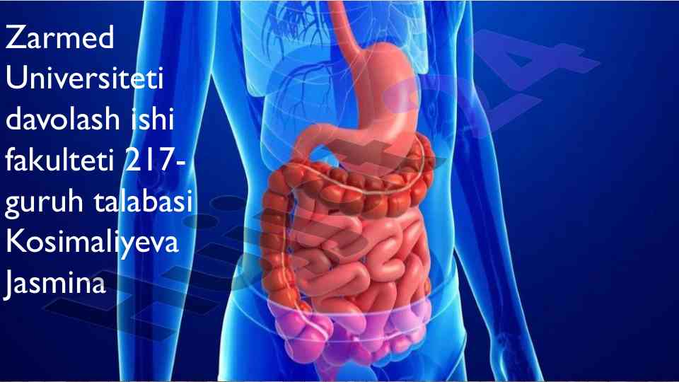 Endokrin boshqaruv va hazmlanish jarayoni