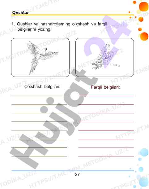 Qushlar va hasharotlar o'xshash va farqli belgilari