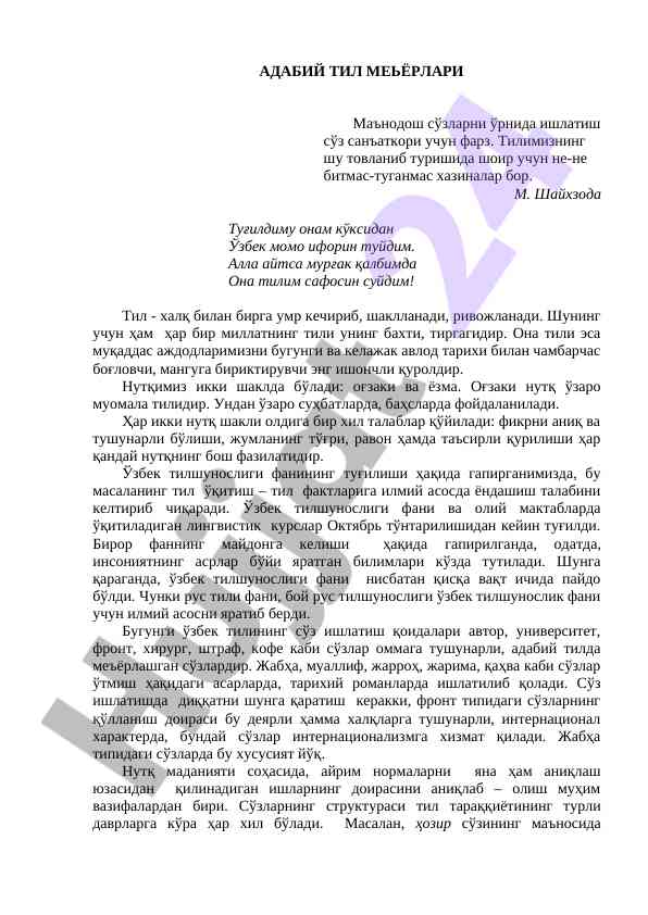 Adabiy til meyorlari va nutq turlari