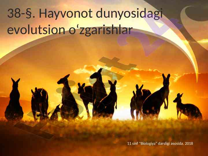 Hayvonot dunyosidagi evolutsion o‘zgarishlar 11 sinf