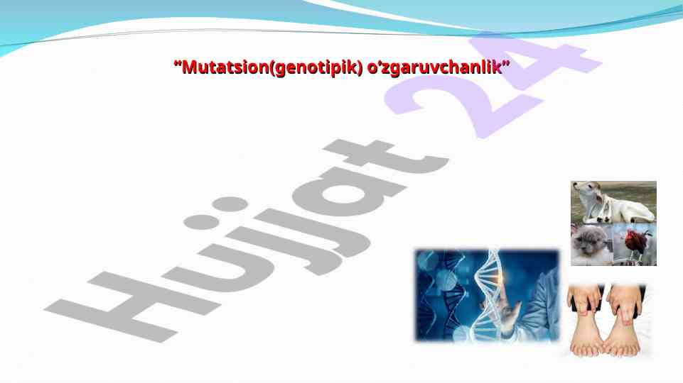 Mutatsion o'zgaruvchanlik tushunchasi va jarayonlari