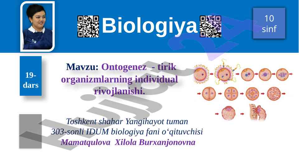 Ontogenez - tirik organizmlarning rivojlanishi