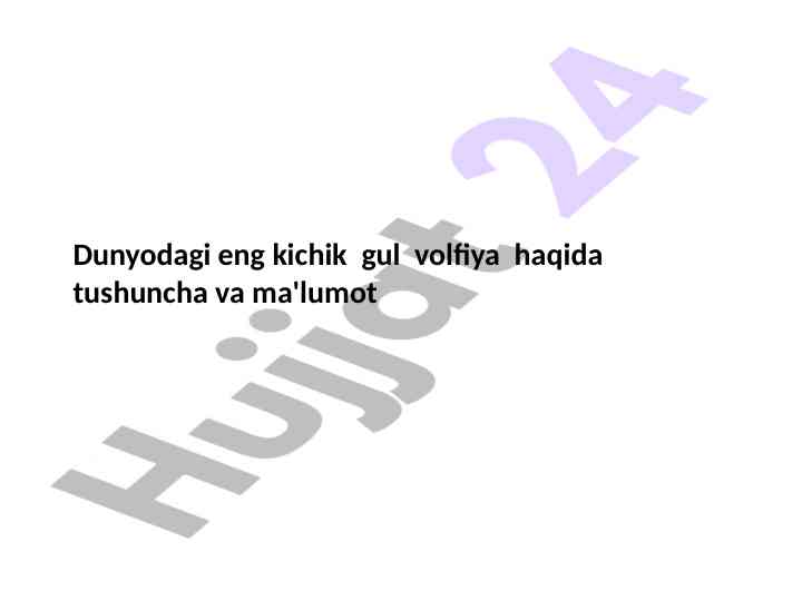 Volfiya guli haqida muhim ma'lumotlar