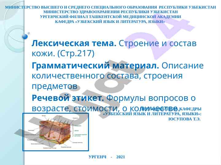Строение и состав кожи: исследование сосудов